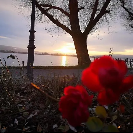 Seeblick Wadee *